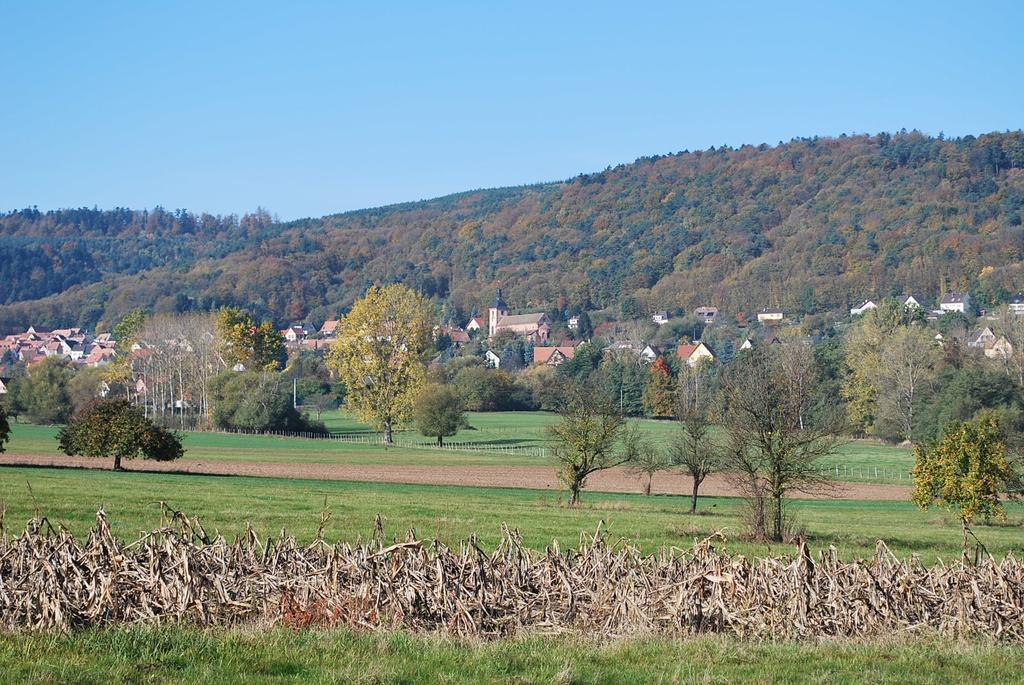 Chambres D'Hotes Les Vignes Saint-Jean-Saverne ภายนอก รูปภาพ