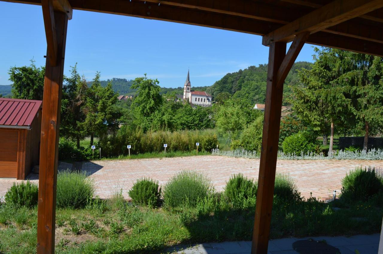 Chambres D'Hotes Les Vignes Saint-Jean-Saverne ภายนอก รูปภาพ