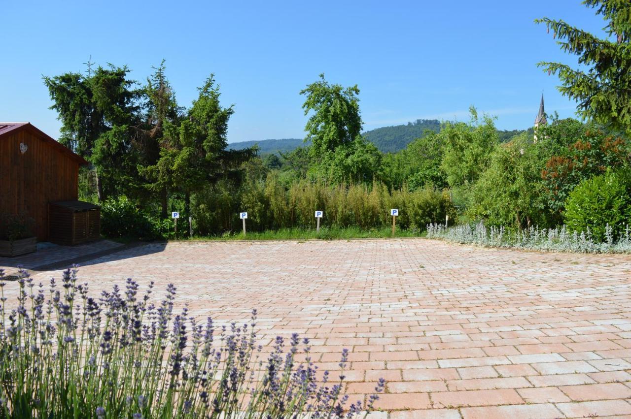 Chambres D'Hotes Les Vignes Saint-Jean-Saverne ภายนอก รูปภาพ