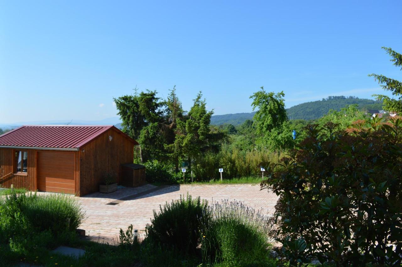 Chambres D'Hotes Les Vignes Saint-Jean-Saverne ภายนอก รูปภาพ